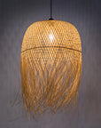 Léandre Roseau - Pendant lamp